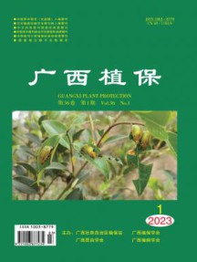 广西植保杂志